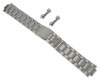 Watch Band (Metal)