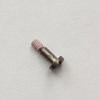 Bezel Screw