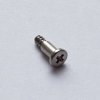 Bezel Screw