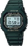 DW-5000-1B
