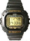 DW5300G-9 (901)